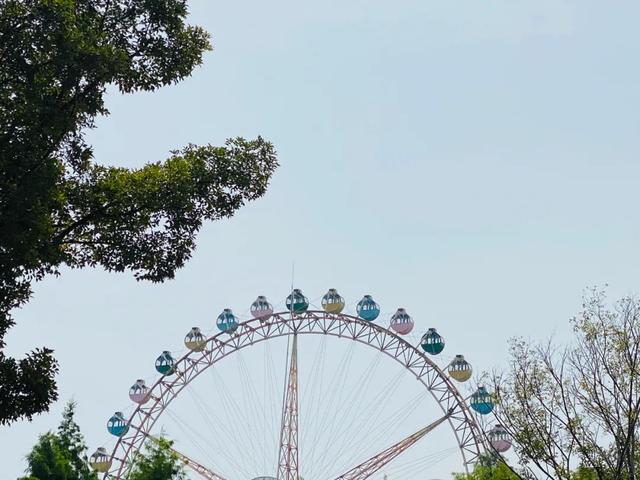 求合肥旅游攻略，合肥旅行攻略（不出市区玩转合肥攻略，速看→）