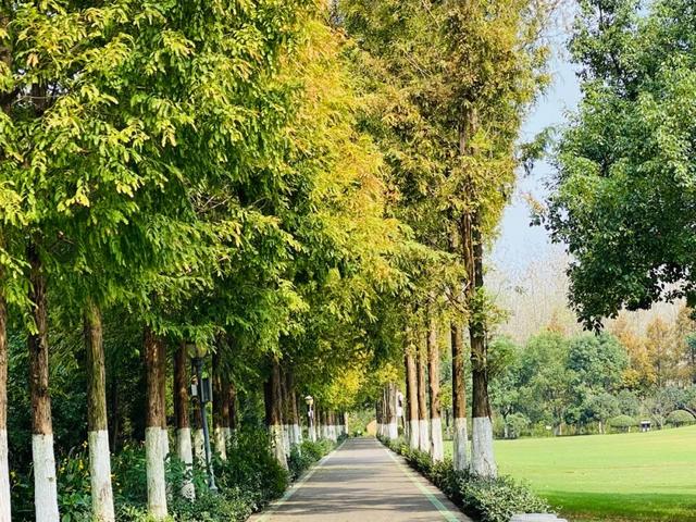 求合肥旅游攻略，合肥旅行攻略（不出市区玩转合肥攻略，速看→）