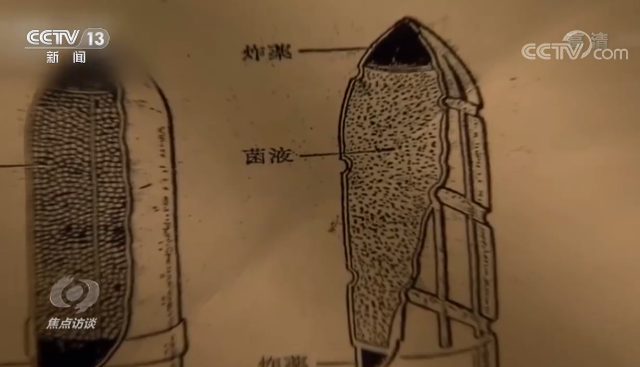 马路大是什么意思，“马路大”（细菌战、活体实验……起底臭名昭著的第七三一部队）