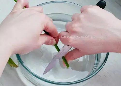 鲜花保鲜小妙招，鲜花保鲜的小妙招（如何让家中的鲜花更持久保鲜）