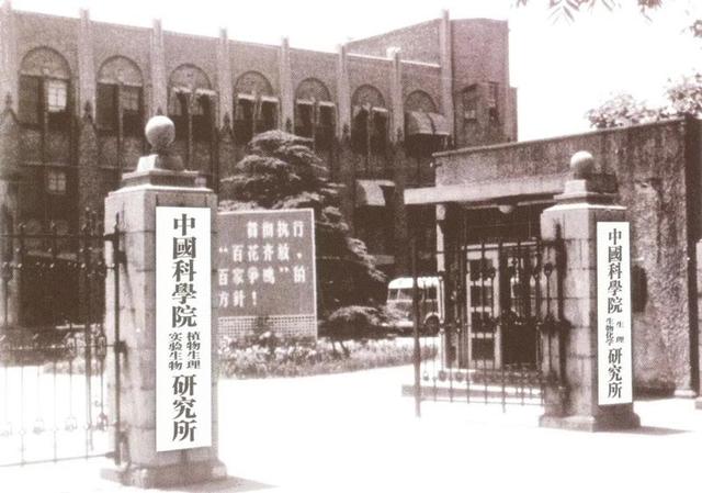 邮政闪光卡是什么卡，邮政闪光卡是什么卡种（百年瞬间丨我国完成人工全合成结晶牛胰岛素）