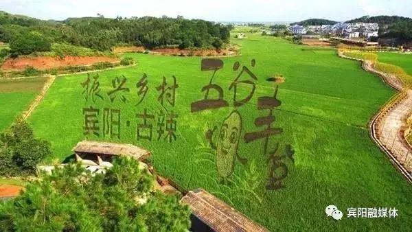 南宁到桂林有多少公里，南宁到桂林多少公里（听那“稻花香里说丰年”）