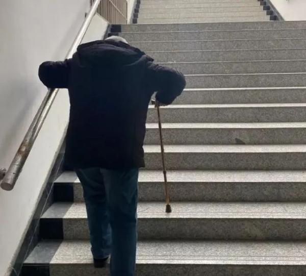 小公举是什么意思，傲娇的小公举是什么意思（刚学会用微信的爷爷）