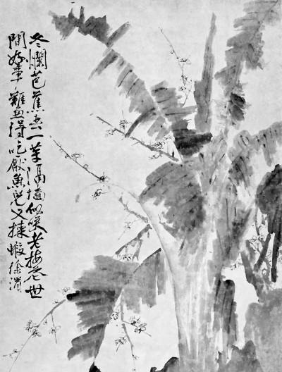 穿越梅花烙之幽兰馨香，求小说宝贝计划（芳香植物与嗅觉诗学）