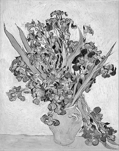 穿越梅花烙之幽兰馨香，求小说宝贝计划（芳香植物与嗅觉诗学）