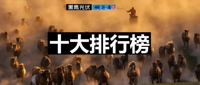 隆基股份是国企还是私企，隆基股份是什么企业（光伏十大排行榜）