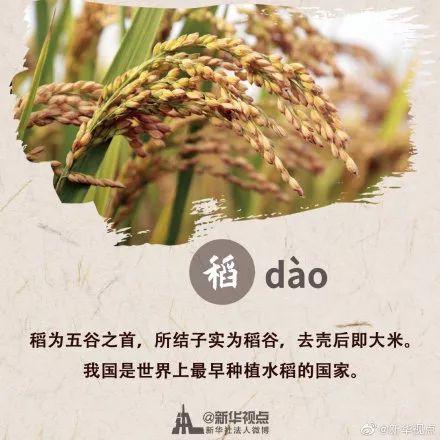 秋分是什么意思，秋分有什么寓意（这些和“秋分”有关的知识一定要给孩子讲讲）