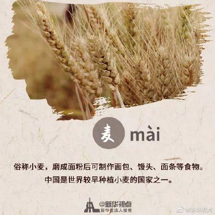 秋分是什么意思，秋分有什么寓意（这些和“秋分”有关的知识一定要给孩子讲讲）