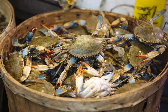 吃完螃蟹不能吃什么，吃完螃蟹千万别碰的5种食物（吃螃蟹竟有这么多讲究）