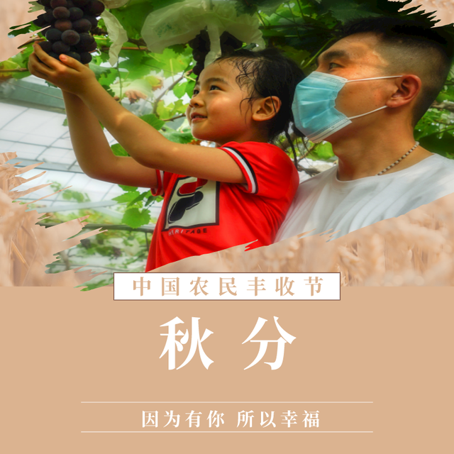 什么的葡萄，40岁“马陆葡萄”助力小康路（什么的葡萄沟填合适词语）