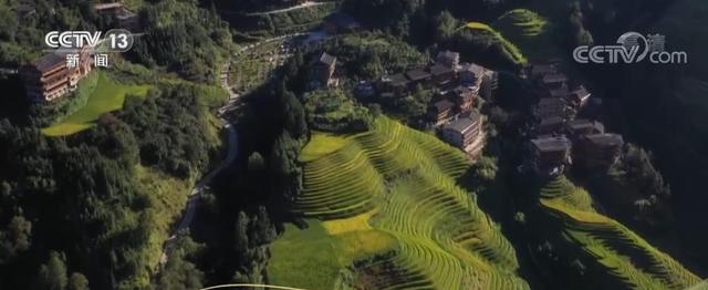 龙脊梯田在广西哪个县，广西龙脊梯田简介（广西龙胜大寨村）