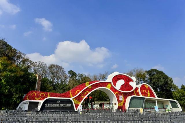 熊猫生活在什么地方?生活环境，大熊猫生活在什么地方（来四川，看大熊猫！）