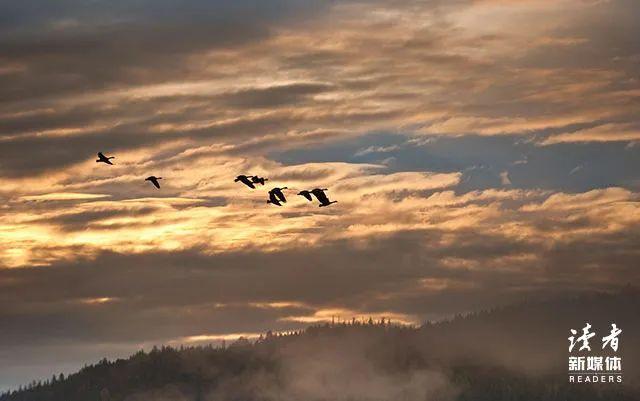 莫言最好的作品，莫言作品精选！（莫言最深刻的7句话）