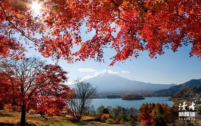 莫言最好的作品，莫言作品精选！（莫言最深刻的7句话）