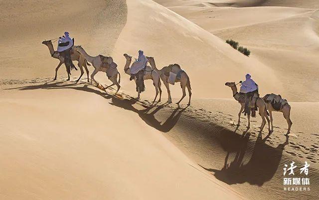 莫言最好的作品，莫言作品精选！（莫言最深刻的7句话）