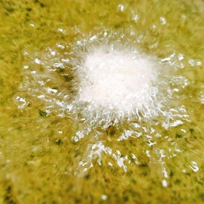 香辣酥带鱼的家常做法，香酥小带鱼做法（再也不怕鱼刺的香辣带鱼酥）