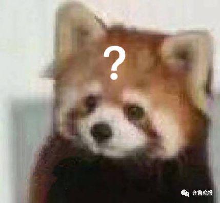 广州公交车怎么扫码支付，广州公交怎么微信扫码乘车（“手机支付”成“支付手机”）