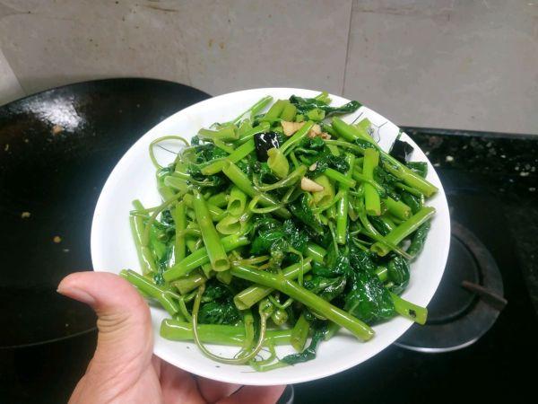 空心菜怎么炒好吃，炒空心菜鲜嫩脆爽开胃下饭（<空心菜>一吃就上瘾）