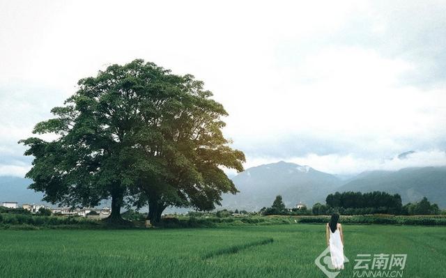 大理的景点有哪些，大理的景点都有哪些（大理29处景点带你体验风花雪月）