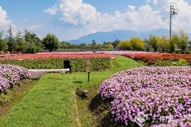 大理的景点有哪些，大理的景点都有哪些（大理29处景点带你体验风花雪月）