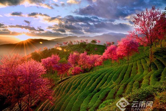 大理的景点有哪些，大理的景点都有哪些（大理29处景点带你体验风花雪月）