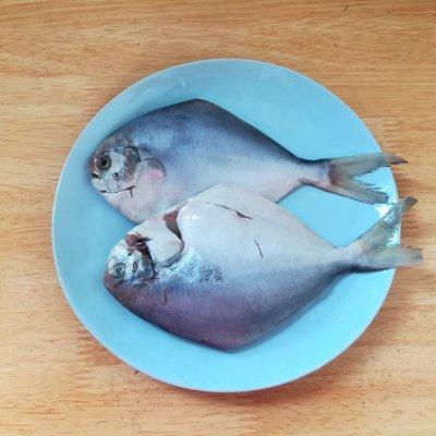 清蒸小鲳鱼正宗做法，圆中秋美味#清蒸小鲳鱼