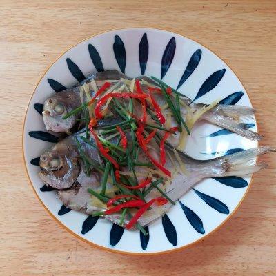 清蒸小鲳鱼正宗做法，圆中秋美味#清蒸小鲳鱼