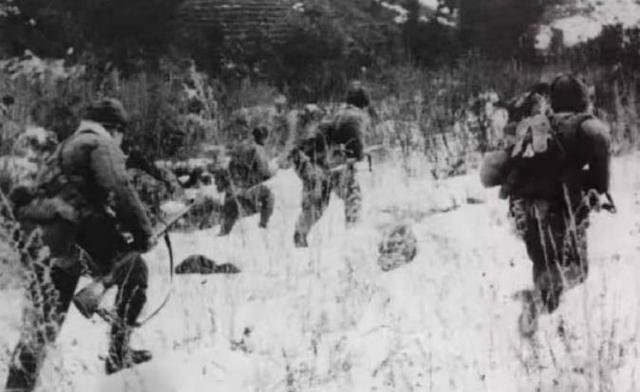 王婆卖瓜自卖自夸中王婆卖的是什么瓜，王婆卖瓜自卖自夸来自哪里（有多少热血故事像血战长津湖一样可歌可泣）