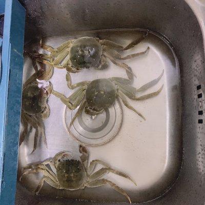 大闸蟹的正确做法，大闸蟹怎么做好吃又简单（有一种热爱叫一起吃清蒸大闸蟹）