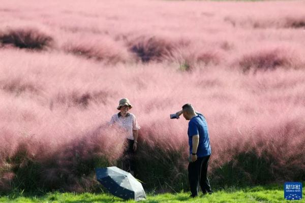 春夏秋冬四季养生口诀，四季养生16句口诀（寒露，养生防病记住“三四五”）
