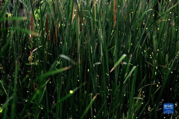 春夏秋冬四季养生口诀，四季养生16句口诀（寒露，养生防病记住“三四五”）