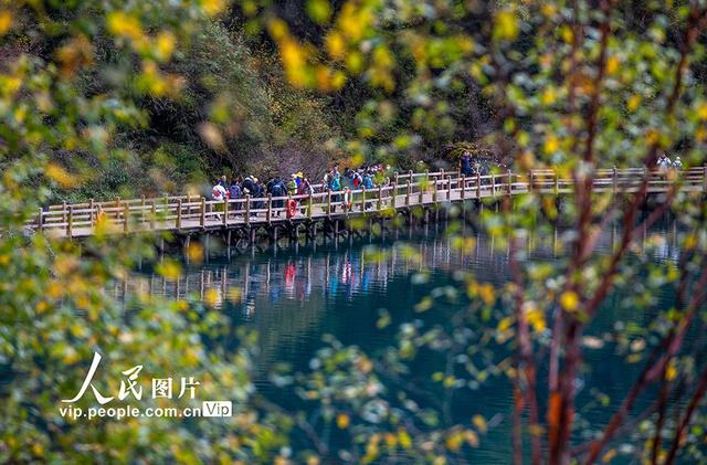 九寨沟在什么地方，九寨沟都有什么景点（四川阿坝：九寨沟秋景迷人）