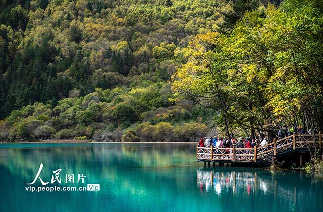 九寨沟在什么地方，九寨沟都有什么景点（四川阿坝：九寨沟秋景迷人）