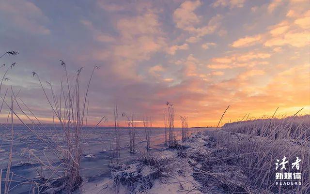 蒙受所有的委屈，坦然活下去.，蒙受所有的委屈的句子（一个人最顶级的自律图片）