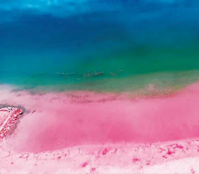 怎么看是不是网图，怎么看是不是网图百度识图（别让滤镜“网红”欺骗了你）