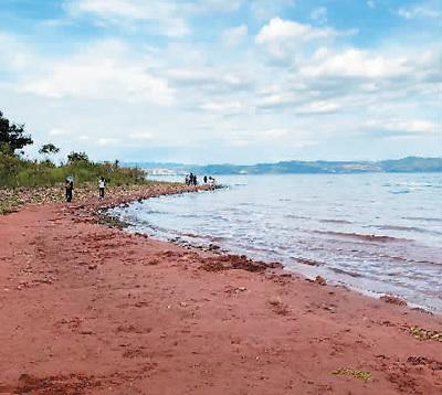 怎么看是不是网图，怎么看是不是网图百度识图（别让滤镜“网红”欺骗了你）