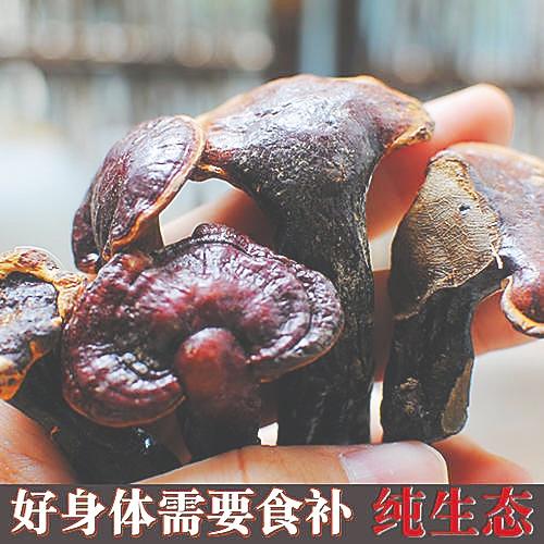 最大的热带雨林是哪里，世上最大的热带雨林是哪里（热带雨林有“双重身份”）