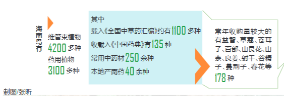 最大的热带雨林是哪里，世上最大的热带雨林是哪里（热带雨林有“双重身份”）