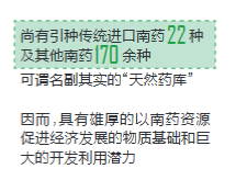 最大的热带雨林是哪里，世上最大的热带雨林是哪里（热带雨林有“双重身份”）