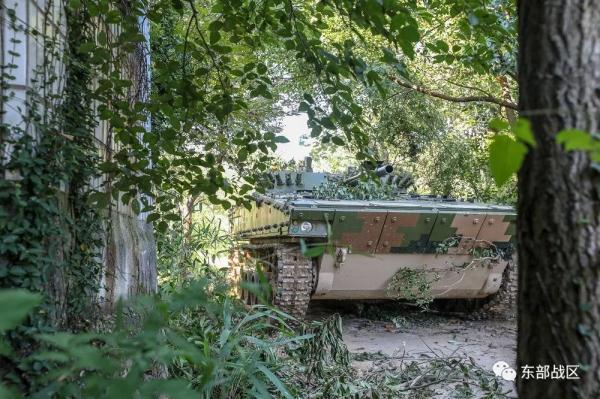 负隅顽抗造句，用负隅顽抗造一个句子（装甲步兵排攻坚作战场面震撼）