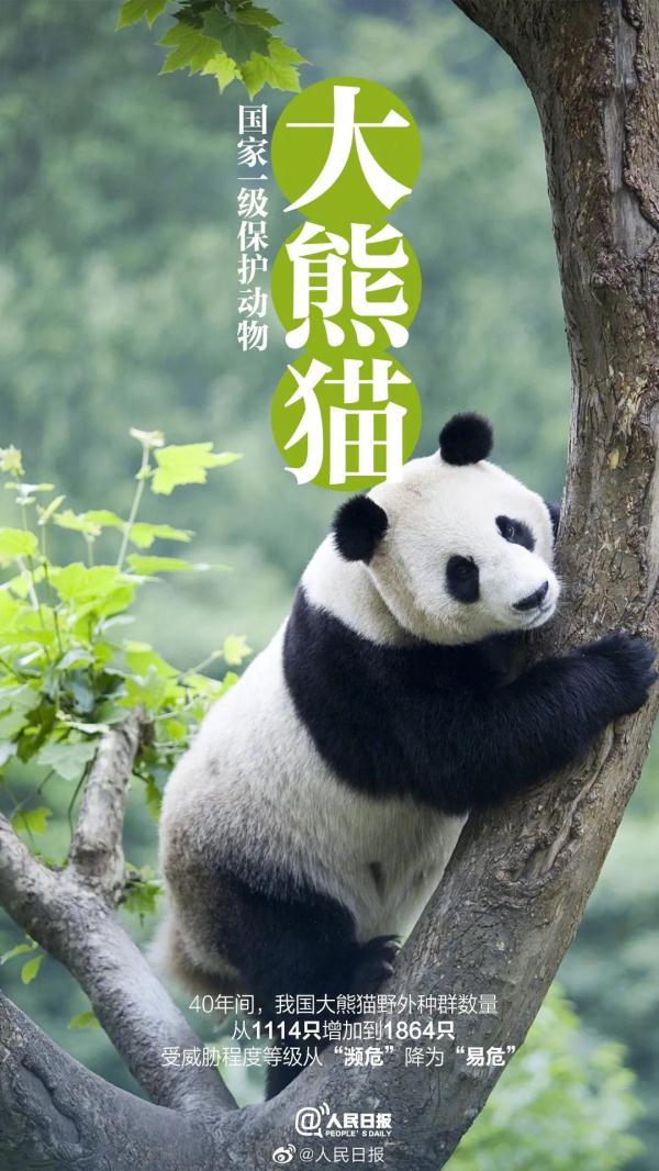 为什么长江译成yangtze，长江英文简介短文（它和“长三角”共享一个名字）