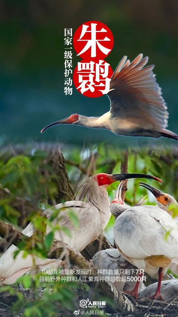 为什么长江译成yangtze，长江英文简介短文（它和“长三角”共享一个名字）