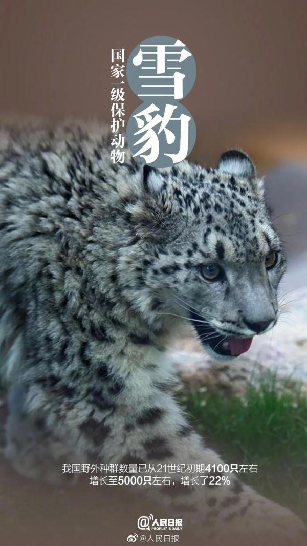 为什么长江译成yangtze，长江英文简介短文（它和“长三角”共享一个名字）