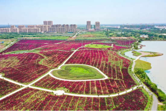 滕头，合肥市肥西县扎根官亭林海（滕头旅游景区）