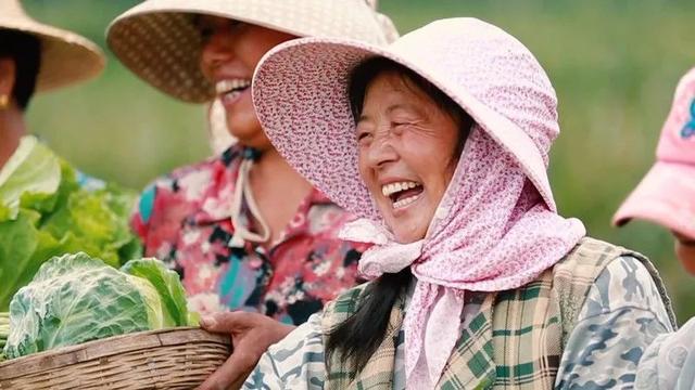 农业税哪年取消，农业税是从什么时候逐步取消的（党史百问百答67丨如何理解取消农业税是一个历史性举措）