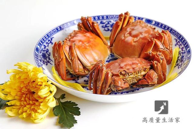 螃蟹的保存方法，螃蟹可以放在冰箱保存吗（放7天仍是鲜活的）