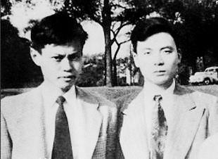 杨振宁和邓稼先，为什么杨振宁和邓稼先差那么多（邓稼先与杨振宁：千里共同途）