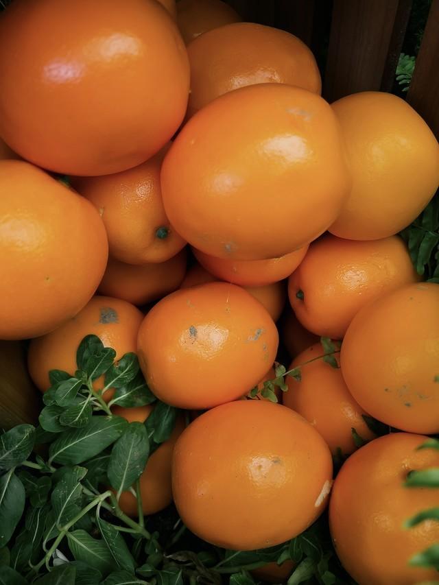 1像素等于多少毫米，像素和毫米怎么换算啊（Max影像测试）