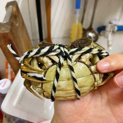 如何清蒸大闸蟹，如何做正宗清蒸大闸蟹（吃了膏满肉甜的清蒸大闸蟹忘不掉）