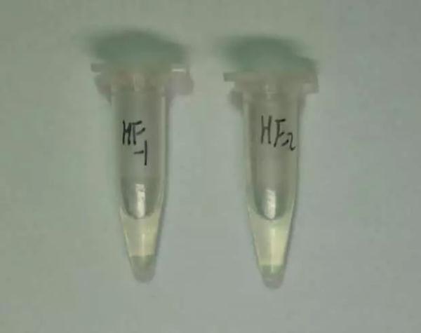 神仙水是什么，神仙水到底为什么这么神（神仙水是什么）